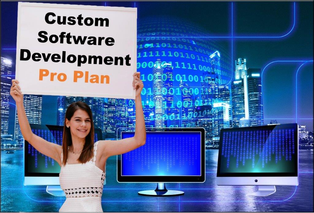 custom software development agency in Denver Colorado